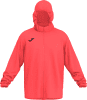 20250217164331-104796-040-Photoroom.png