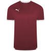 Puma-Team-Liga-25-Jersey-Cordovan.jpg