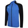 Puma-Team-Liga-25-Training-Jacket-Electric-Blue-LemonadePuma-Black.jpg