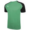 Puma-Team-Pacer-Jersey-Pepper-GreenBlackWhite.jpg